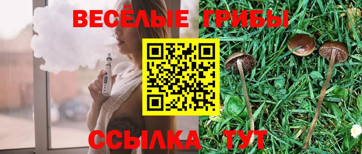 Псилоцибиновые грибы Magic Shrooms Троицк
