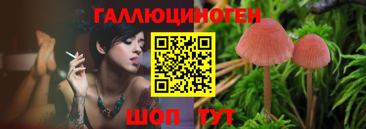 Псилоцибиновые грибы Cubensis  Псилоцибиновые грибы GOLDEN TEACHER  Вход с VPN  Троицк 